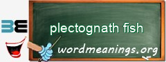 WordMeaning blackboard for plectognath fish
